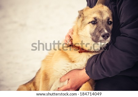 Dog Shepherd Puppy and Woman hugging Outdoor Lifestyle and Friendship concept