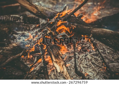 Fire Flame wooden camp burning Outdoor travel vacations concept moody background