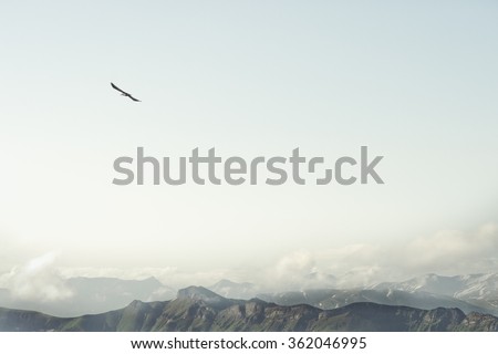 Rocky Mountains and flying eagle bird Landscape minimalistic style scenic aerial view