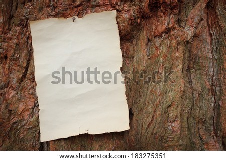old antique piece of paper with burnt edges nailed to a large tree with coarse bark