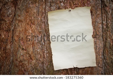 old antique piece of paper with burnt edges nailed to a large tree with coarse bark