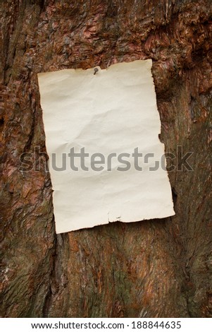 blank sheet of old paper with burnt edges nailed to a large tree