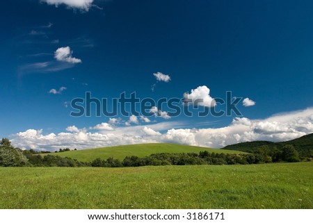 Summer  landscape with cumulus and green meadows
