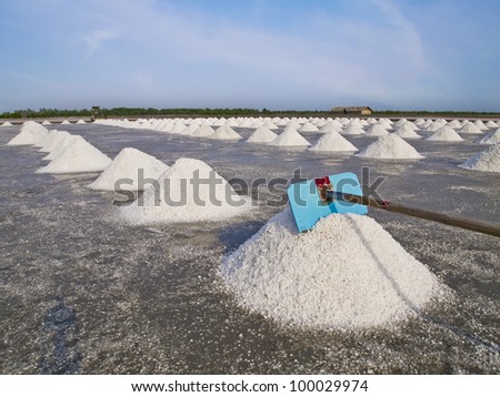 pile of salt and collecting tool