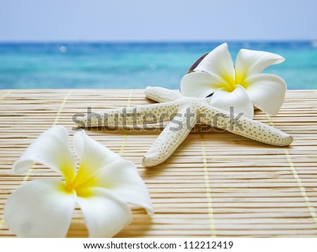 starfish and white flower and the sea