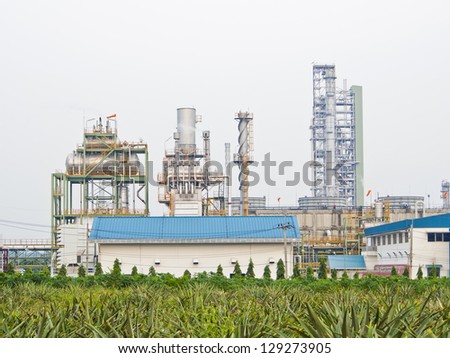 gas factory on pineapple farm background