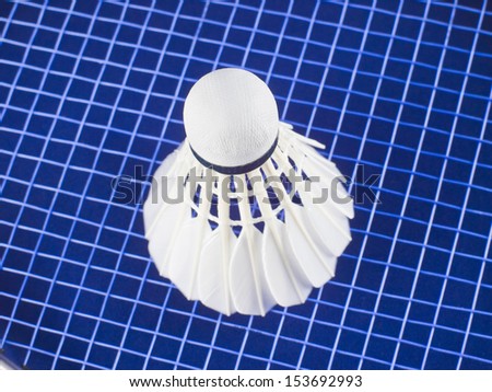 badminton shuttlecock on blue string net