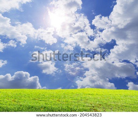 green grass and cloud sky background