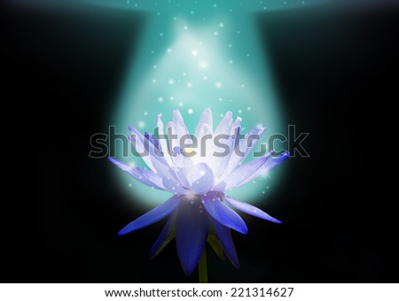 blue water lotus on magic light in dark background and spark glow