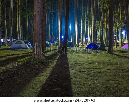 recreational camping tents with silhouetted of the alpine trees on natural forrest after dark night