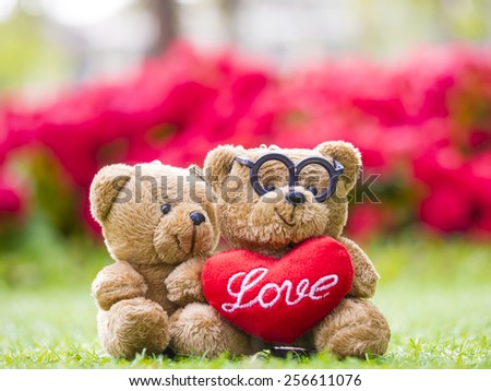 lovely teddy brown bear and red heart shape sitting outdoor
