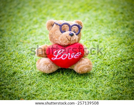 lovely teddy brown bear and red heart shape sitting outdoor