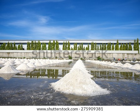 Heap of salt in the farm made of natural ocean salty water evaporated by sunny light, preparing for last process before sent to industry factory
