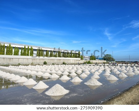 Heap of salt in the farm made of natural ocean salty water evaporated by sunny light, preparing for last process before sent to industry factory