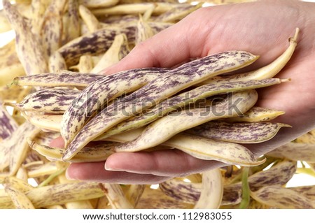 Woman holds in hand green beans