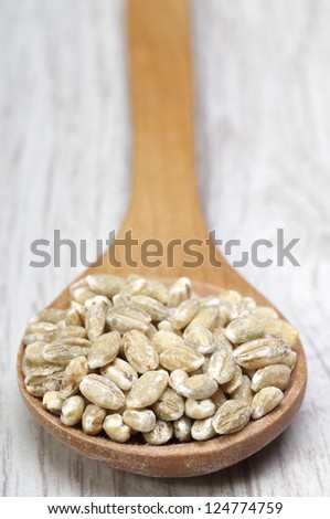 pearl barley in wooden spoon