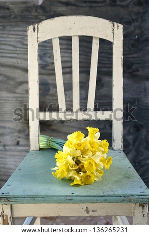 Yellow narcissus on wooden chair