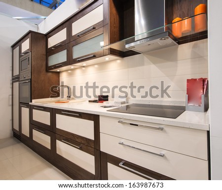 Contemporary Kitchen Interior