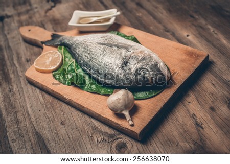 Fresh sea bream fish