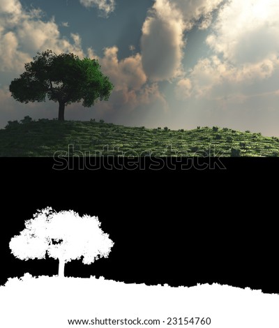 A lone tree with clouds and alpha-mask