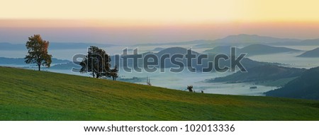 Trees on horizon with grass before sunrise in foggy mountains