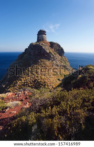Tower on Capraia island Elba with wild flowers sea and blue sky, Tuscany, Italy, Europe