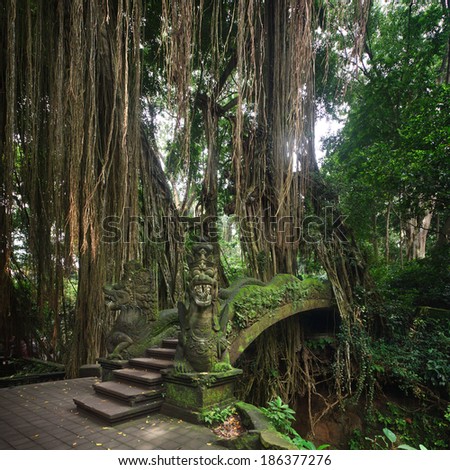 Bridge in Ubud's Monkey Forest Sanctuary with huge old tree with log roots and branches, Bali, Indonesia