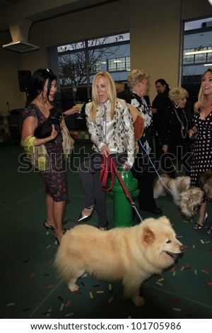 LOS ANGELES, CA - MAY 3: Joan Van Ark, Maria Conchita Alonso at the grand opening of the Pooch Hotel on May 3, 2012 in Hollywood, Los Angeles, California. The Pooch Hotel is a luxury hotel for dogs.