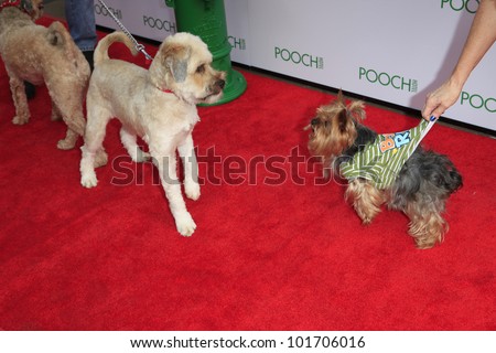 LOS ANGELES, CA - MAY 3: Dogs at the grand opening of the Pooch Hotel on May 3, 2012 in Hollywood, Los Angeles, California. The Pooch Hotel is a luxury hotel for dogs.