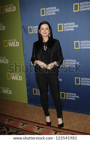 PASADENA - JAN 3: Geraldine Hughes of the show \'Killing Lincoln\' at the National Geographic Channels TCA party on January 3, 2013 at the Langham Hotel in Pasadena, California