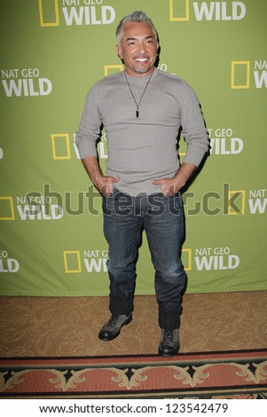 PASADENA - JAN 3: Cesar Millan of the show 'Leader of the pack' at the National Geographic Channels TCA party on January 3, 2013 at the Langham Hotel in Pasadena, California
