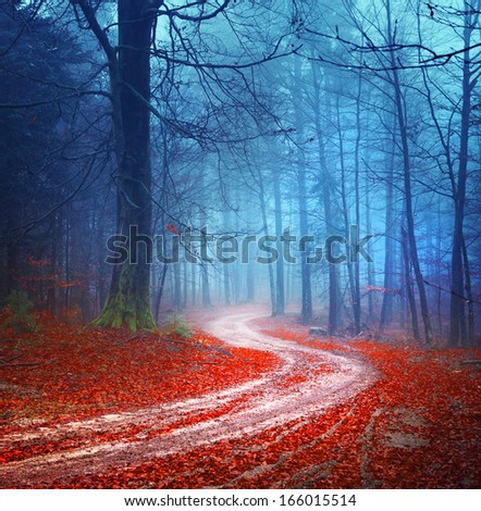 Magic Colorful Autumn Forest Road.
