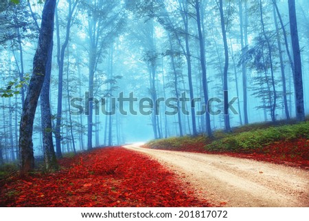 Beautiful mysterious red and blue color season forest with road. Intensity color filter effect used.