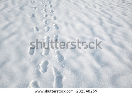 Shoeprints in snow -  walking in the fresh snow.