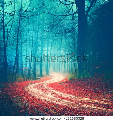 Magic vintage color autumn forest road.
