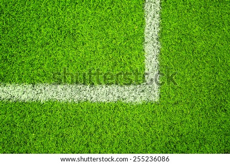 Sunny artificial green grass with white line corner background.