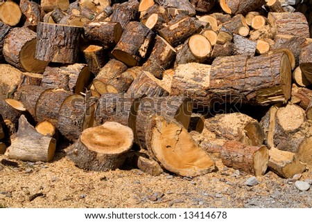 A heap of fresh cut wood with pieces and kindling