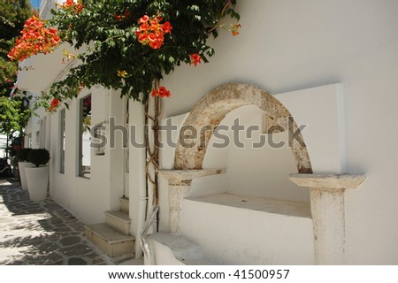 A flowering vine grows along the wall of an island street