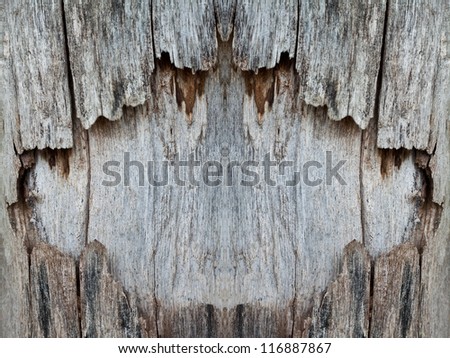Old wood background. Decay due to the feeding of termites.