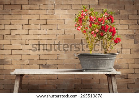 red flower and brick wall background,vintage style