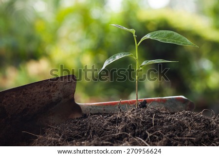 Young plant growing on brown soil with shovel on green bokeh background