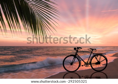 Silhouette of retro bicycle on sandy beach at sunset