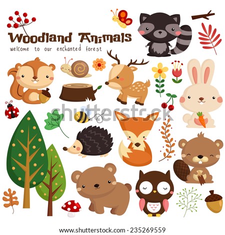 Woodland Animal Vector Set