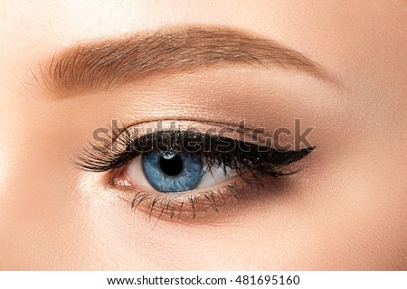 Close up view of blue woman eye with beautiful golden shades and black eyeliner makeup. Classic make up. Studio shot