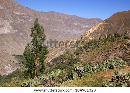 Colca Canyon, one of the deepest canyons in the world, Peru