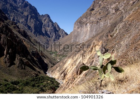 Colca Canyon, one of the deepest canyons in the world, Peru