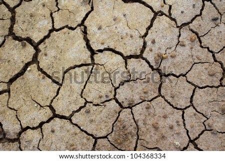 cracked clay ground into the dry lake