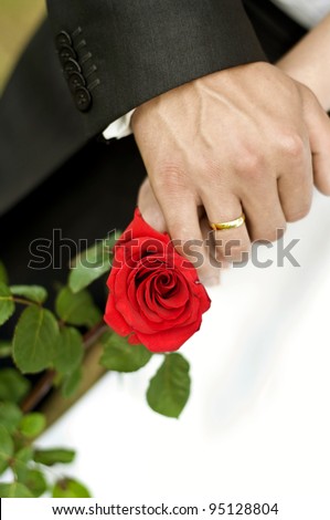 Men's wedding ring on his hands and rose - stock photo