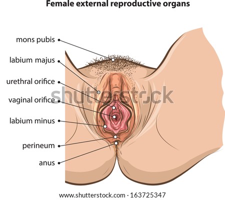 the amateur porn messy black cock facials