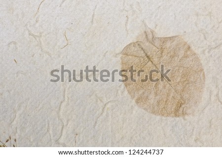 Mulberry paper leaf texture background.